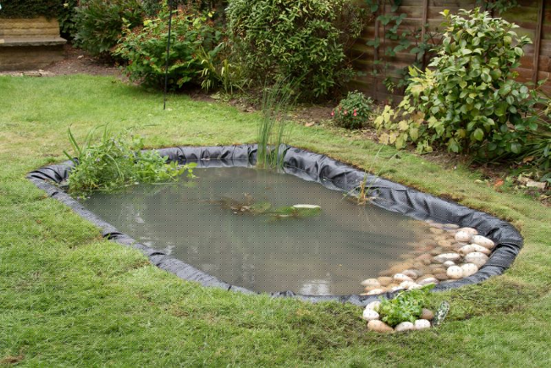 Pond Digging Service
