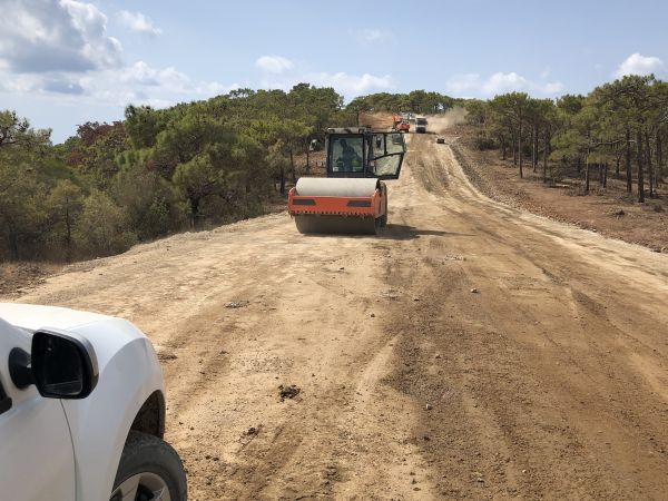 Cost of Driveway Grading in Ellensburg