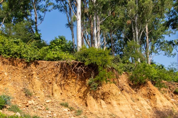 Erosion Control Service