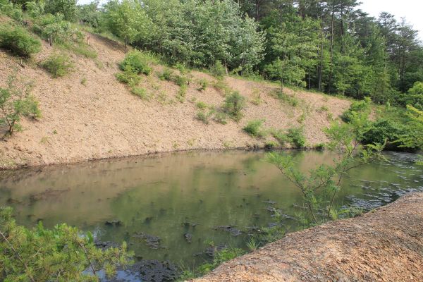 Cost of Pond Erosion Repair in Ellensburg