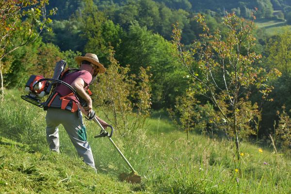 Cost of Slope Trimming in Ellensburg