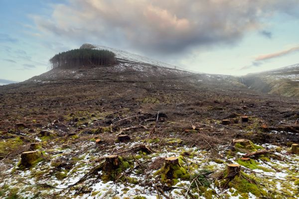 Cost of Hill Removal in Ellensburg